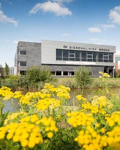 Dierenkliniek Breda pand